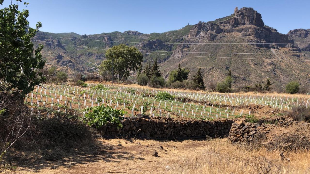 Casa-Finca El Maipez De Tejeda Λας Πάλμας ντε Γκραν Κανάρια Εξωτερικό φωτογραφία