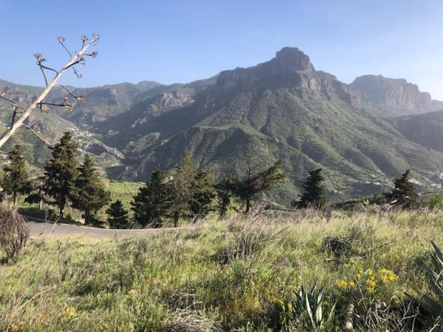 Casa-Finca El Maipez De Tejeda Λας Πάλμας ντε Γκραν Κανάρια Εξωτερικό φωτογραφία
