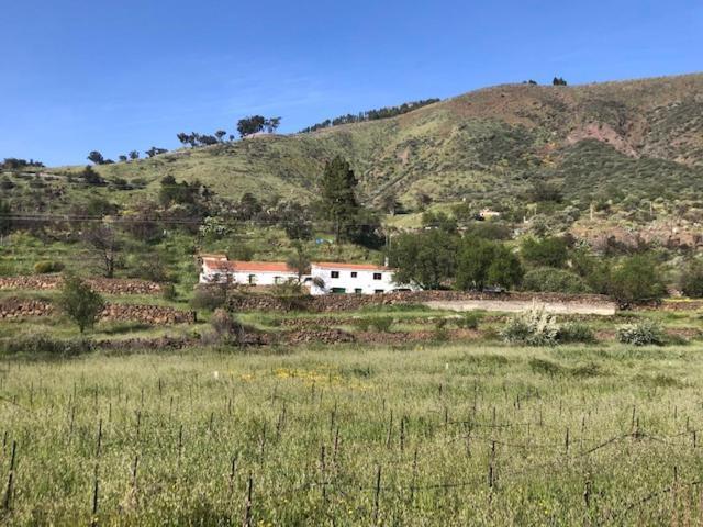 Casa-Finca El Maipez De Tejeda Λας Πάλμας ντε Γκραν Κανάρια Εξωτερικό φωτογραφία