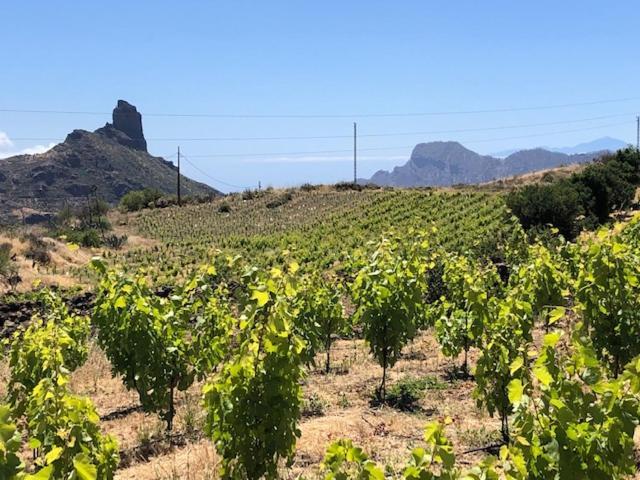 Casa-Finca El Maipez De Tejeda Λας Πάλμας ντε Γκραν Κανάρια Εξωτερικό φωτογραφία