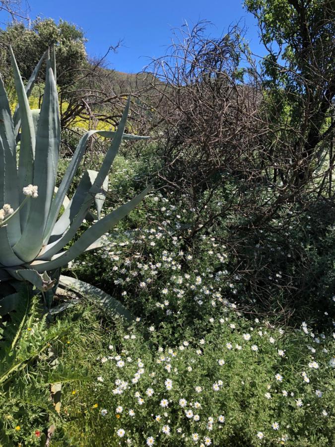 Casa-Finca El Maipez De Tejeda Λας Πάλμας ντε Γκραν Κανάρια Εξωτερικό φωτογραφία